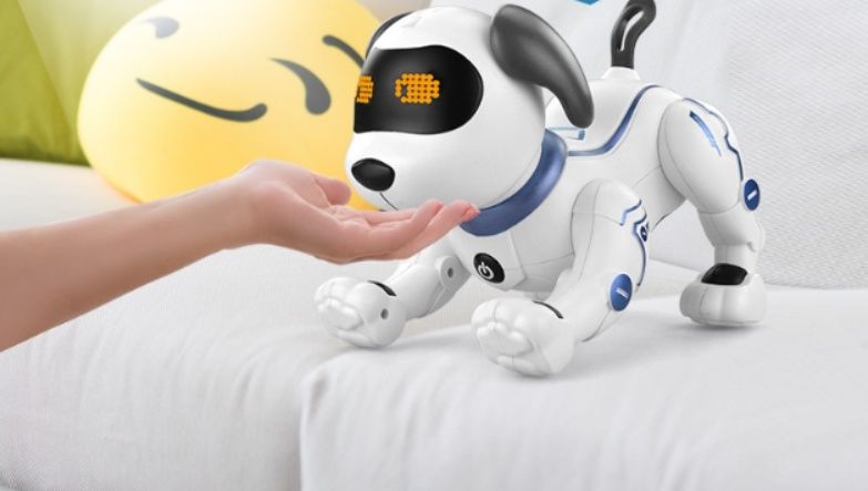 https://fulmo-img-server.com/airobotstore/1783398665617_5b8ut3ie_nxw4n1e9.jpeg