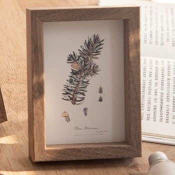 アルバム 植物画フレームセット
