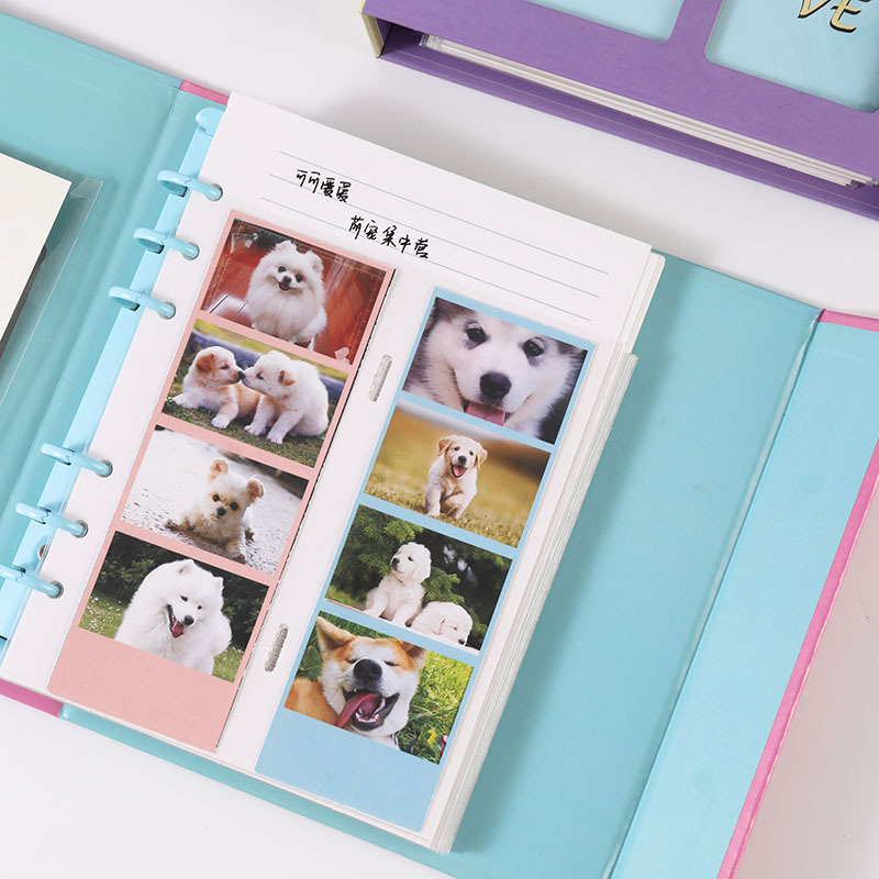 アルバム 学園風写真立て付きチェキアルバムセット