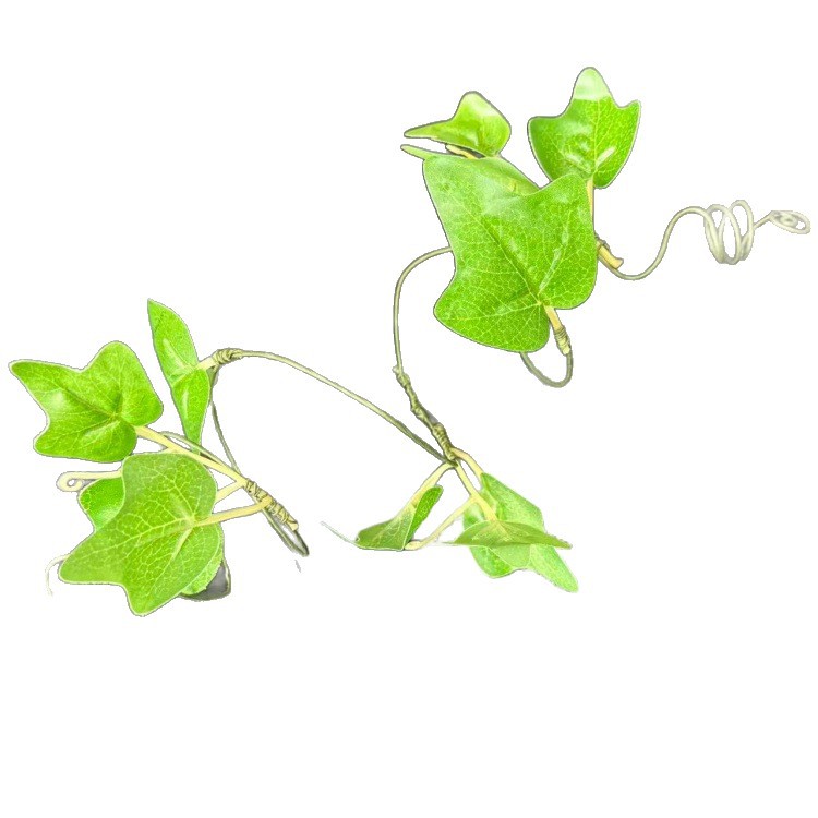 https://fulmo-img-server.com/bangledot/ca38811c-ba3f-44f4-9410-5edc601dd3bf.jpg