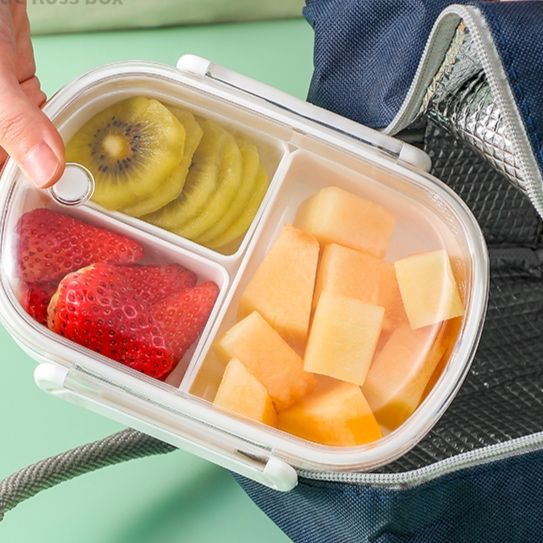 密封式仕切り付きコンパクト保存容器