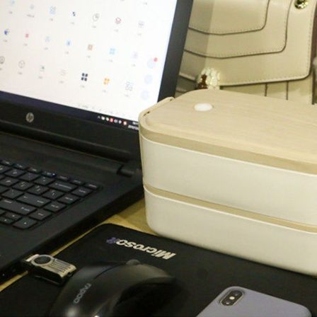 木目調蓋付きステンレス製二段弁当箱