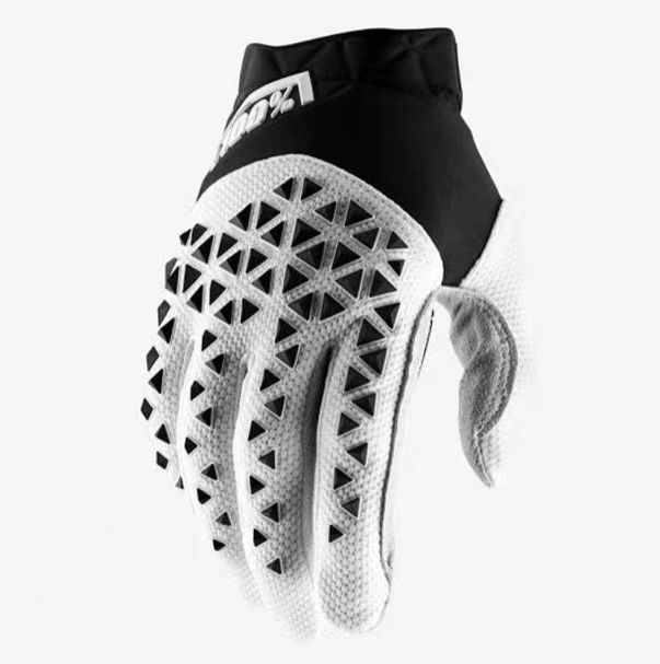 バイク ウェア プロフェッショナルレーシンググローブ