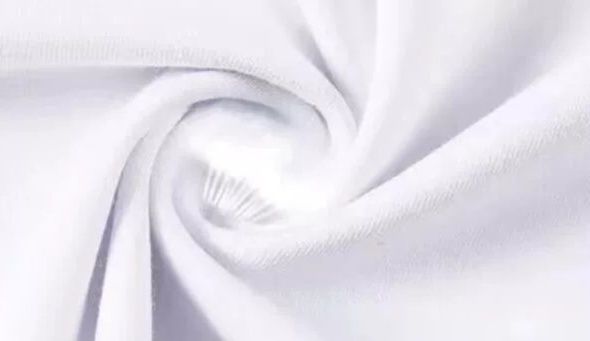 白Tシャツ レディース 季節の彩りプリント半袖シャツ