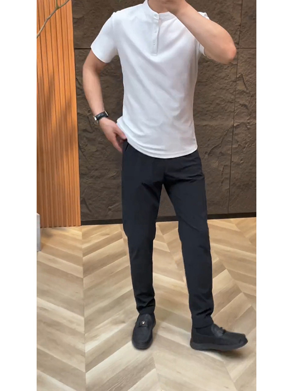 白Tシャツ メンズ すっきり立ち襟 半袖プルオーバー