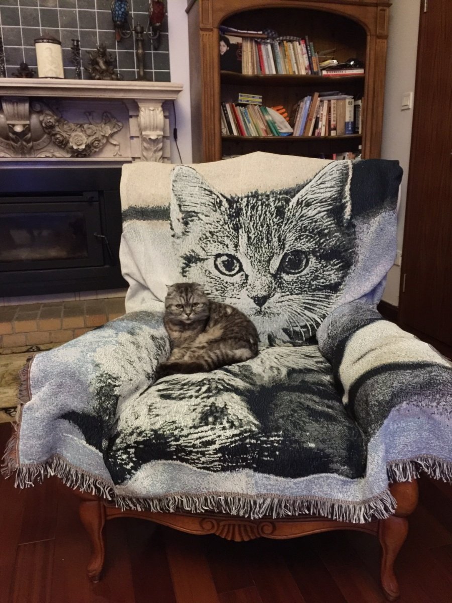 ブランケット 子猫のつぶらな瞳柄フリンジ付きブランケット