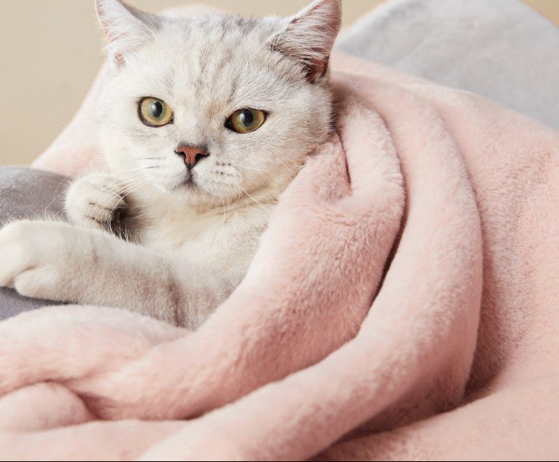 ふわふわ毛足の長い極上もこもこブランケット