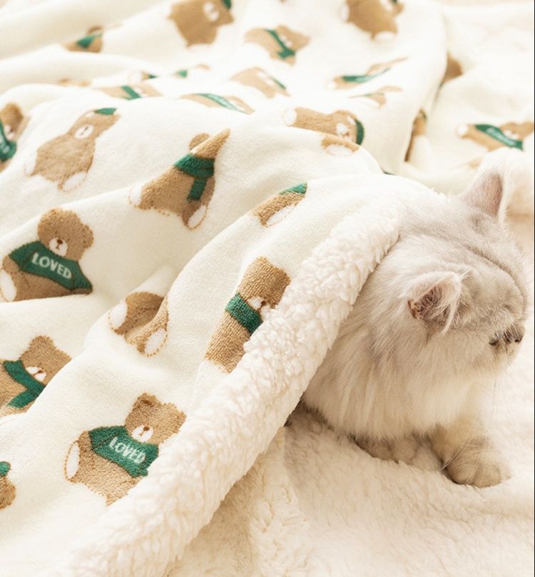 ブランケット 愛されくまちゃん柄もこもこ両面ブランケット