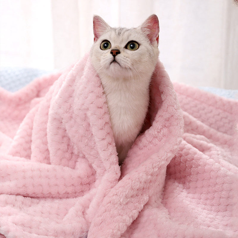 ふわふわもこもこ猫ちゃんも癒されるブランケット