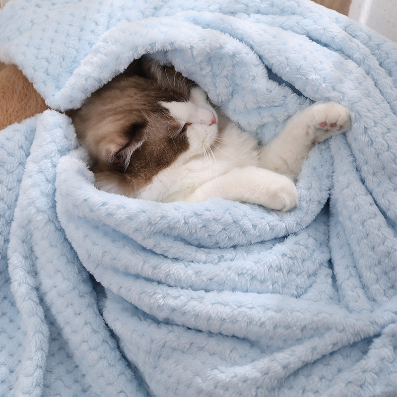 ふわふわもこもこ猫ちゃんも癒されるブランケット