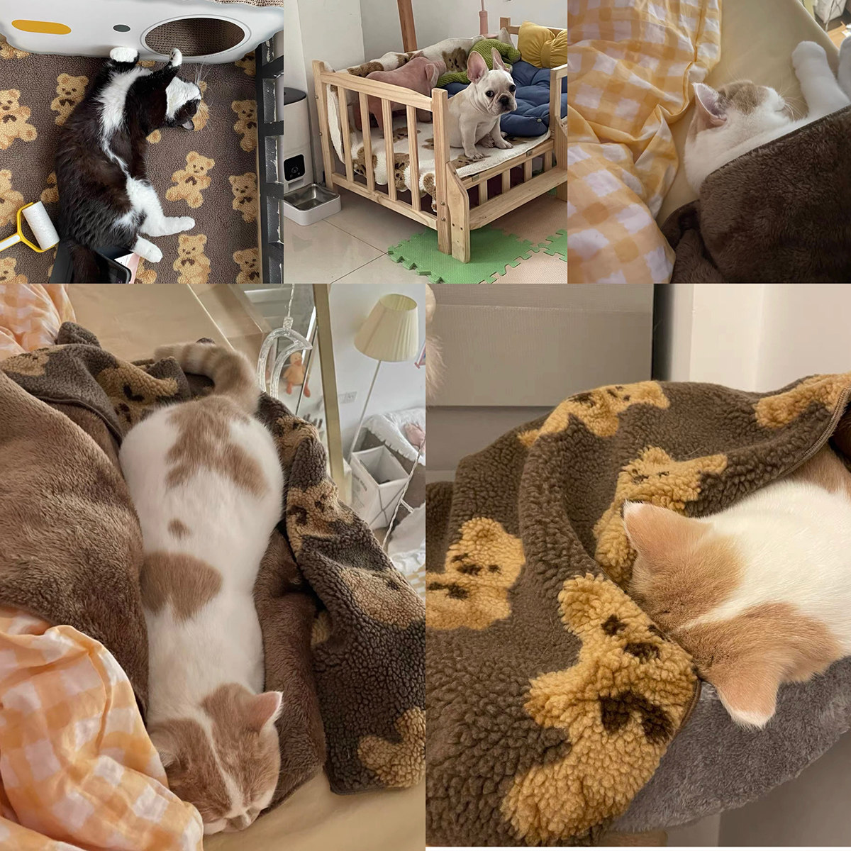 ふわふわくまちゃん柄もこもこブランケット