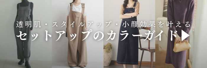 ブルベ向けセットアップ