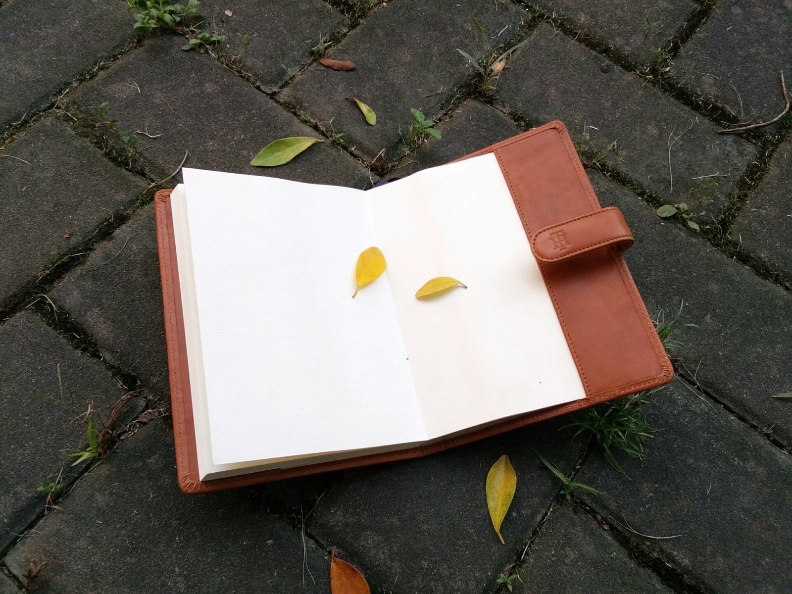 https://fulmo-img-server.com/bookcoverly/35b20d91-4368-4e73-9410-d9152da4bd21.jpg