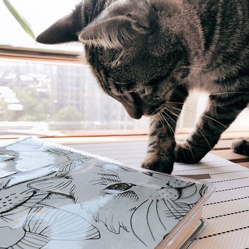 ブックカバー 猫モチーフ 透明ブックカバー