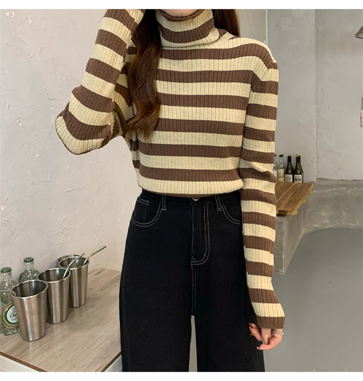 ボーダー服 着まわし抜群ボーダータートルネックニットセーター