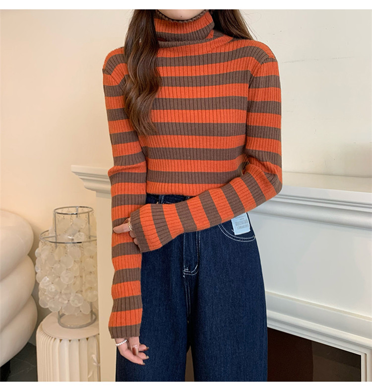 ボーダー服 着まわし抜群ボーダータートルネックニットセーター