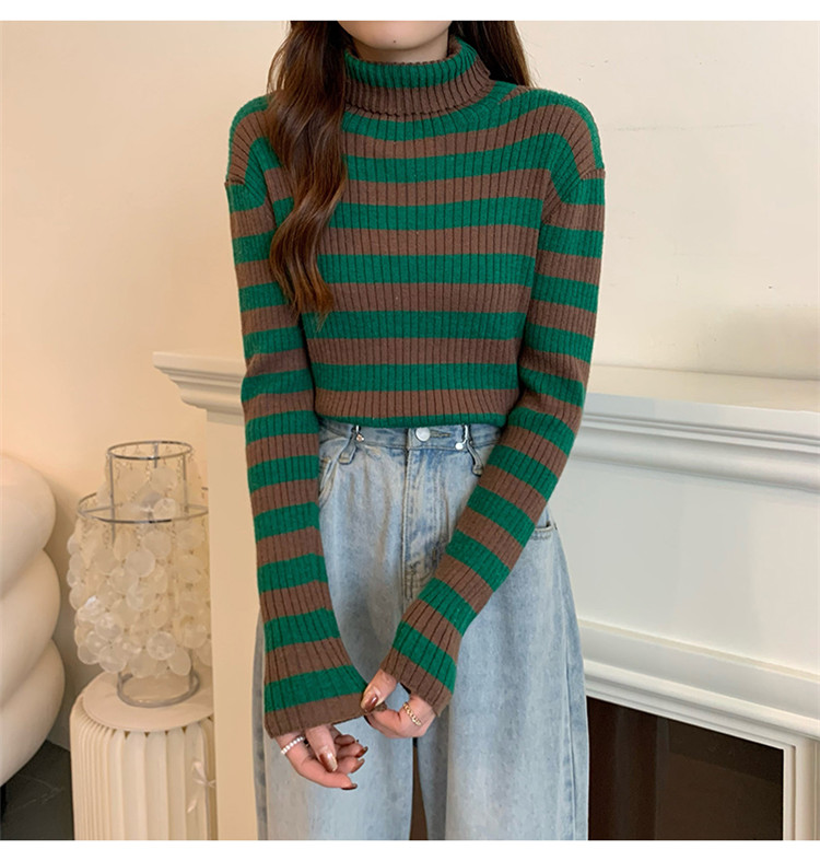 ボーダー服 着まわし抜群ボーダータートルネックニットセーター