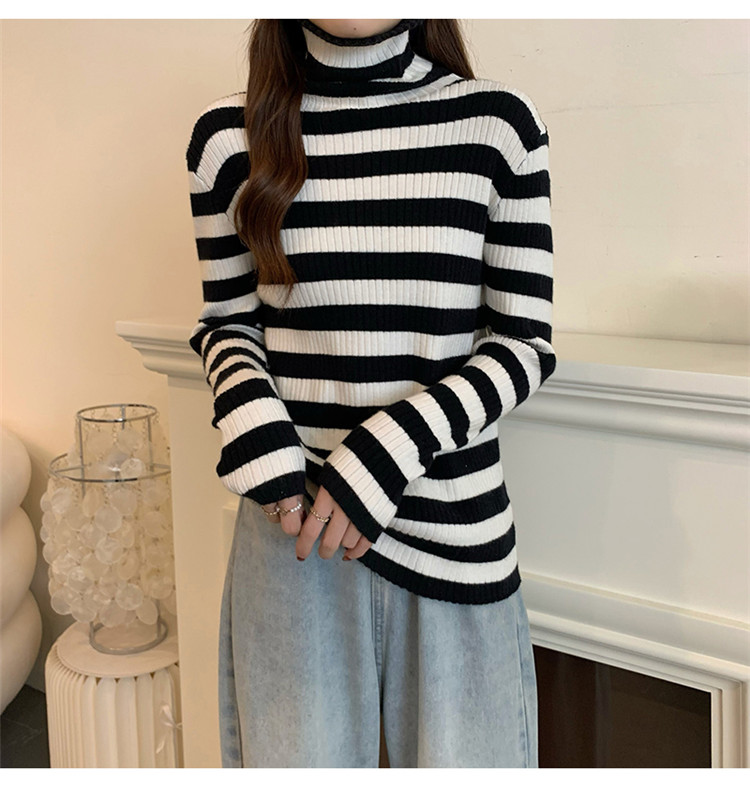 ボーダー服 着まわし抜群ボーダータートルネックニットセーター