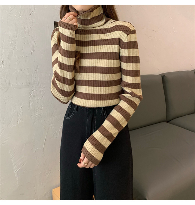 ボーダー服 着まわし抜群ボーダータートルネックニットセーター