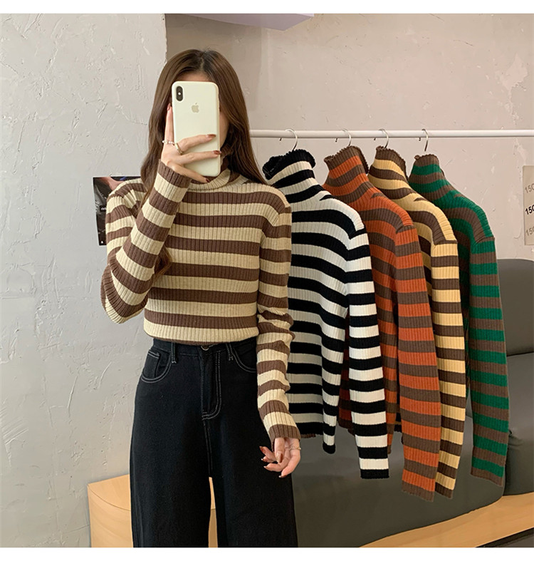 ボーダー服 着まわし抜群ボーダータートルネックニットセーター