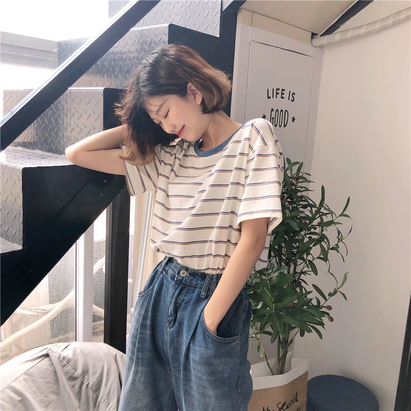 ボーダー服 ボーダー服 リブ襟細ボーダー半袖Tシャツ