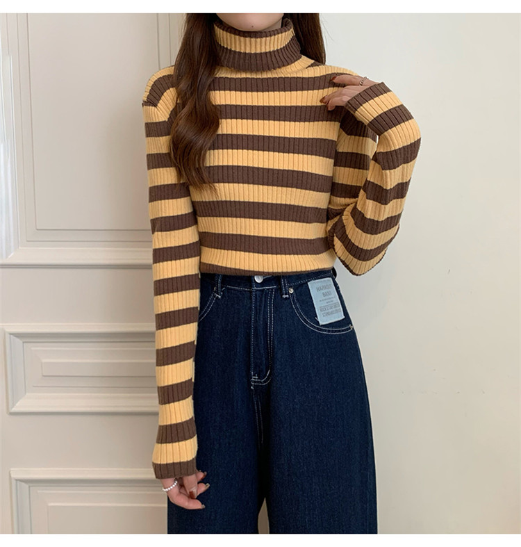 ボーダー服 着まわし抜群ボーダータートルネックニットセーター