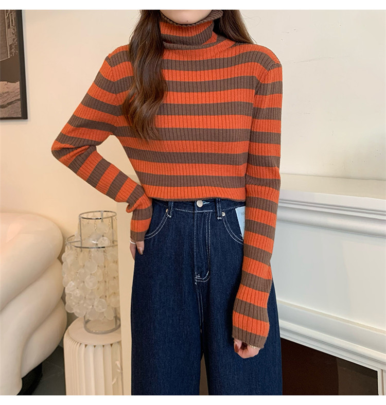 ボーダー服 着まわし抜群ボーダータートルネックニットセーター