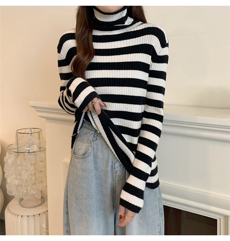 ボーダー服 着まわし抜群ボーダータートルネックニットセーター