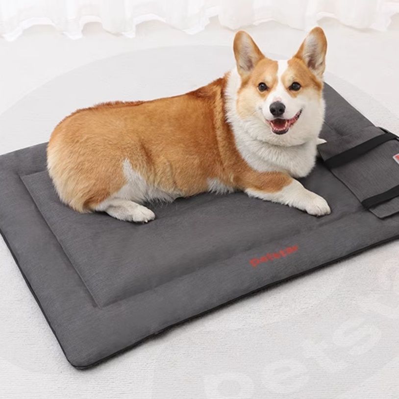 キャンプ用品 ふわもち愛犬用キャンプマット