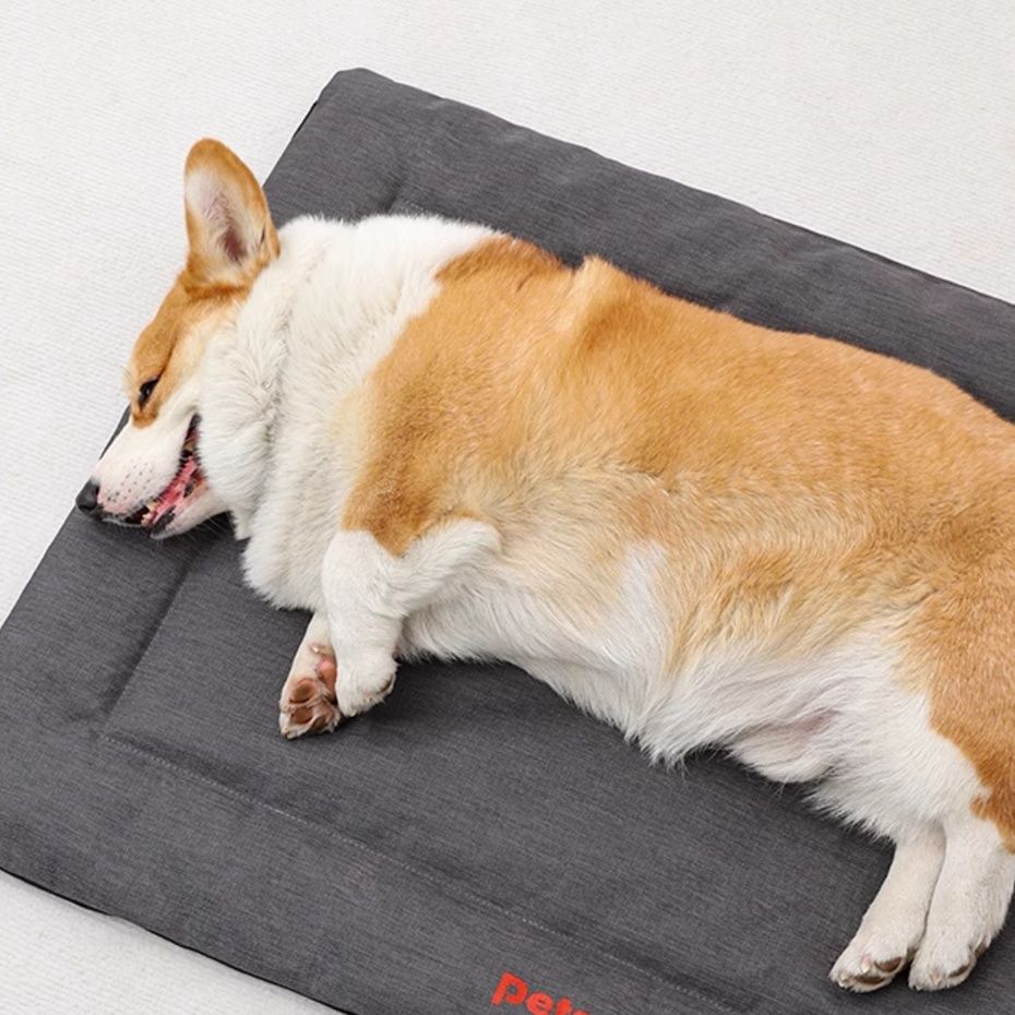 キャンプ用品 ふわもち愛犬用キャンプマット