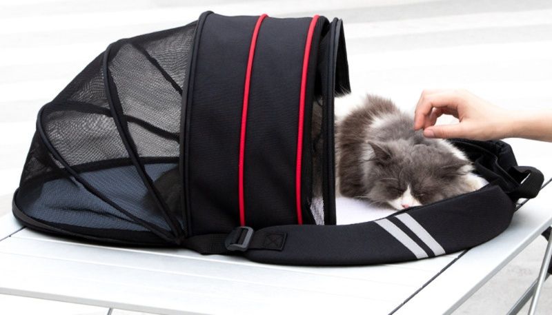 猫キャリーバッグ 拡張式二段構造リュック型ペットキャリー