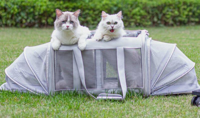 猫キャリーバッグ 二部屋仕様拡張式キャスター付き猫キャリーバッグ