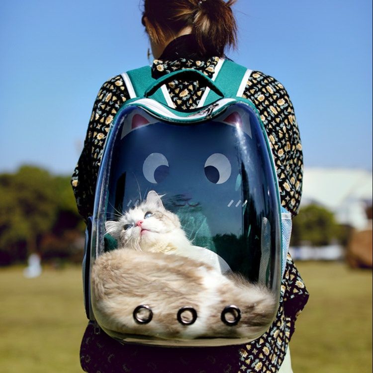 猫キャリーバッグ 全景窓付き宇宙船型猫用リュック式キャリー
