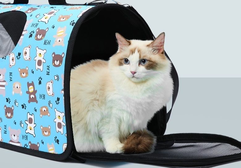 猫キャリーバッグ 透明窓付き多機能リュック型キャスター付き猫用
