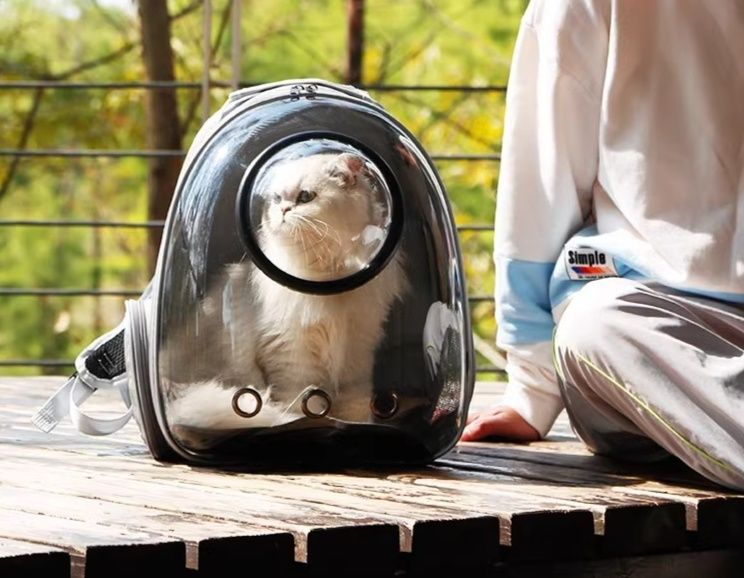 猫キャリーバッグ 透明宇宙船型ハードシェル猫用リュックキャリー