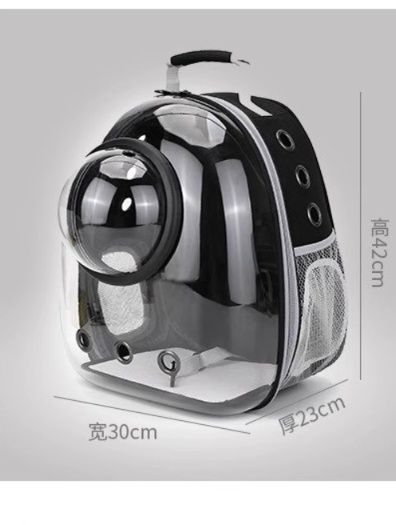 https://fulmo-img-server.com/carrineko/1781571711772_9qskikbi_cq5khz0g.jpeg