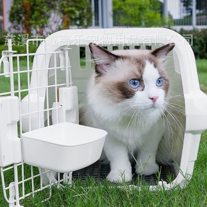 https://fulmo-img-server.com/carrineko/1781573936833_qs4gjdlk_e8klynv7.jpeg