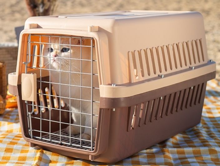 猫キャリーバッグ 国際航空基準対応 
