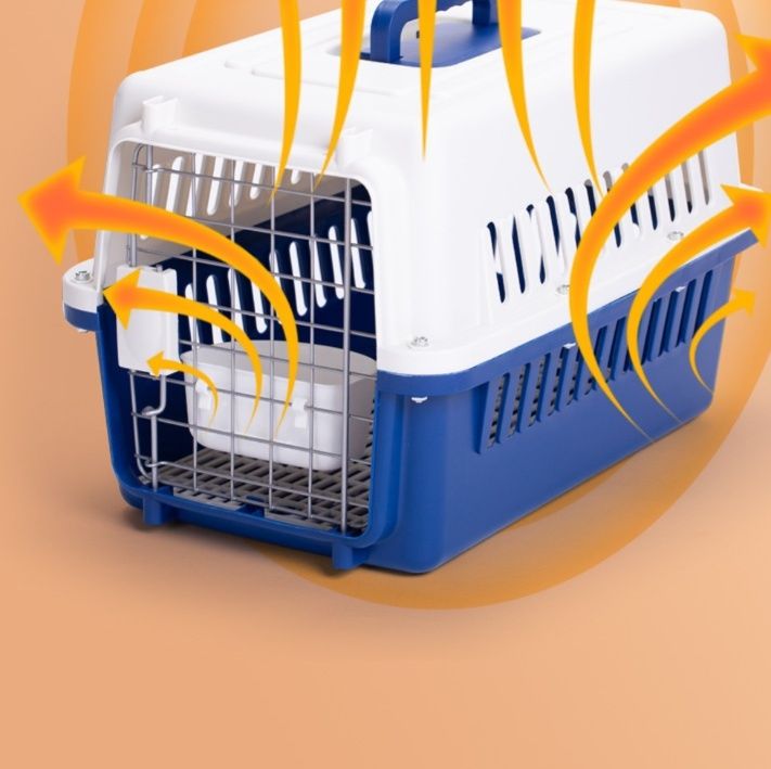 https://fulmo-img-server.com/carrineko/1781578454999_puv6zhqx_zt22m19s.jpeg