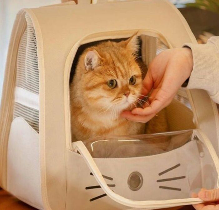  透明窓付き猫顔デザイン通気性猫キャリーバック