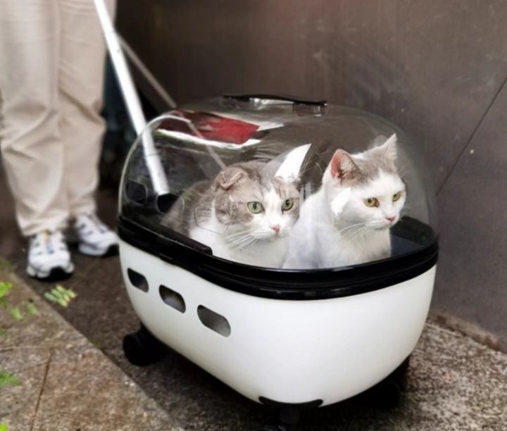 猫キャリーバッグ 透明ドーム型多頭飼い対応キャスター付き