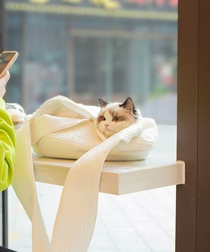 https://fulmo-img-server.com/carrineko/1781755897934_t764n98s_kx5qs6ce.jpeg