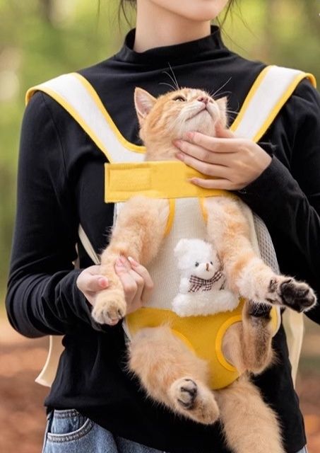 https://fulmo-img-server.com/carrineko/1781836875956_nvybg27j_2zd8r5pp.jpeg