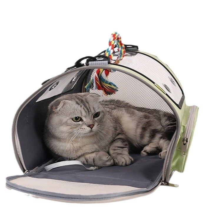 https://fulmo-img-server.com/carrineko/1782092313004_yyos15dk_1ej4olyi.jpeg
