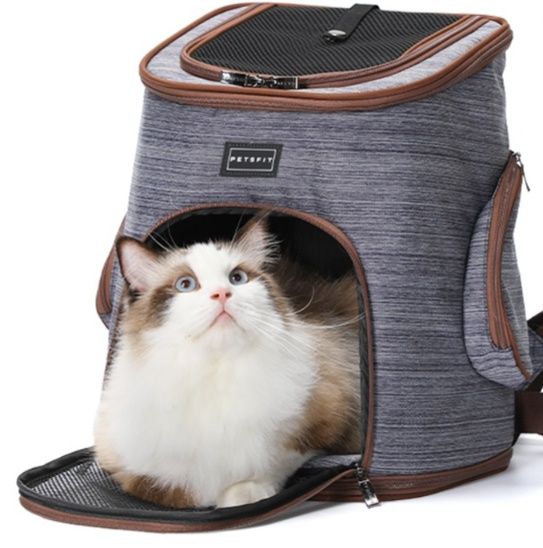 https://fulmo-img-server.com/carrineko/1782094187203_ojer59ec_sywtvft5.jpeg