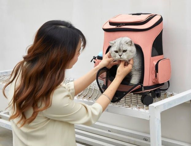 キャスター付き猫キャリーバッグ 多機能トロリー型