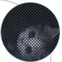 https://fulmo-img-server.com/carrineko/1782094445277_halt0rgc_90umjfnb.jpeg