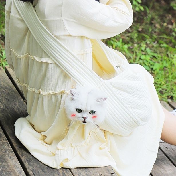 https://fulmo-img-server.com/carrineko/1782105359442_f5eehw0o_dujdvgpd.jpeg