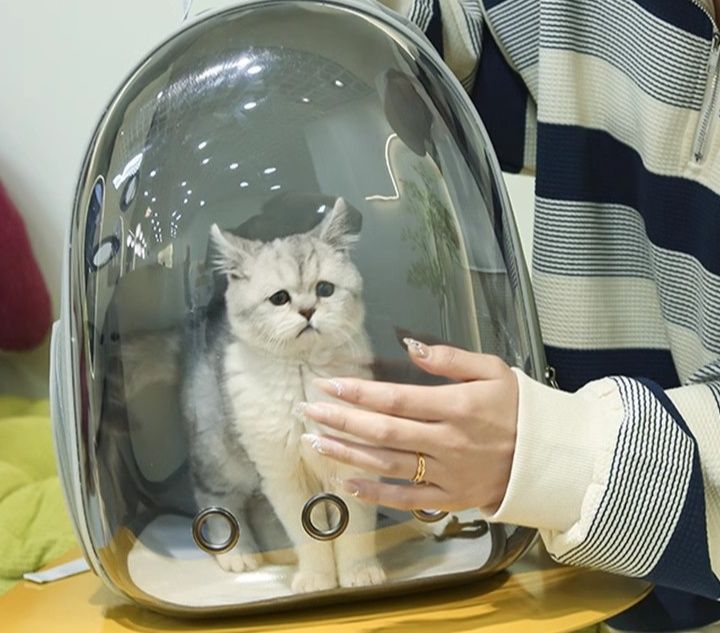 https://fulmo-img-server.com/carrineko/1782266455094_5nagxmn8_j8n44v47.jpeg