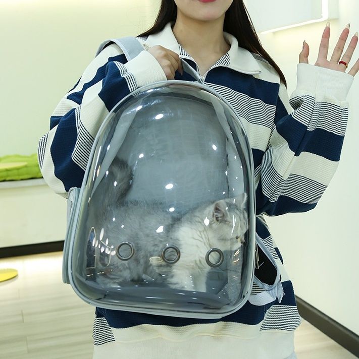 https://fulmo-img-server.com/carrineko/1782266472400_m7lscsl3_31okxsp6.jpeg